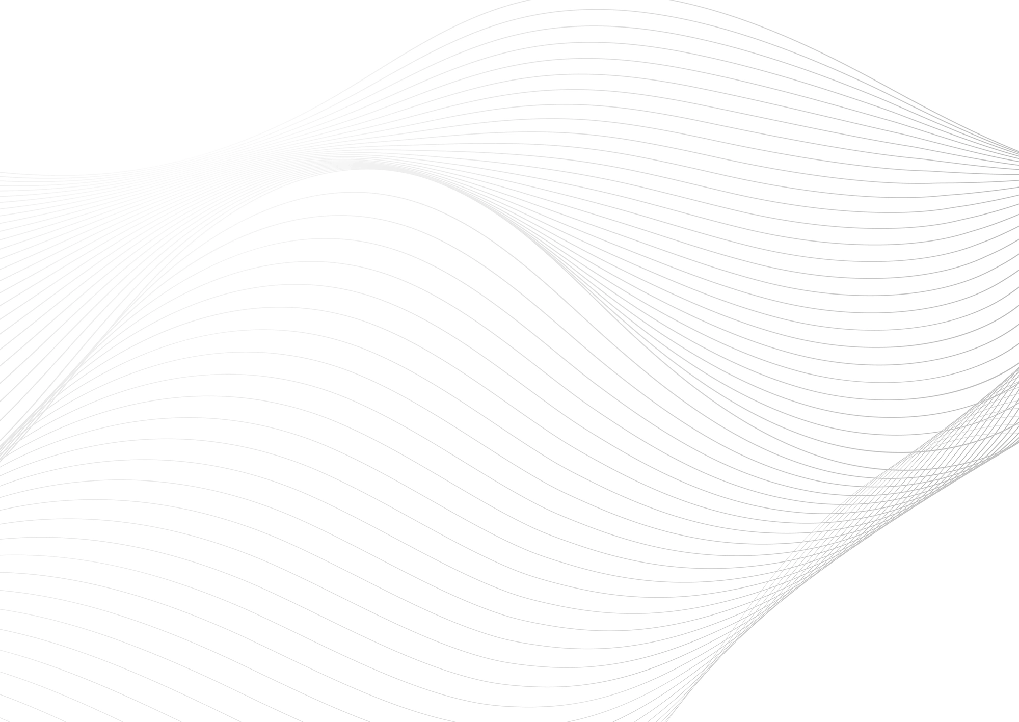 Web Site Tasarımcısı, Beşikdüzü